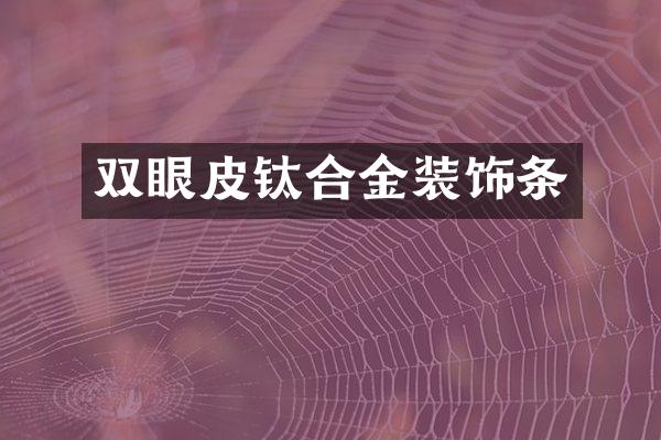 双眼皮钛合金装饰条