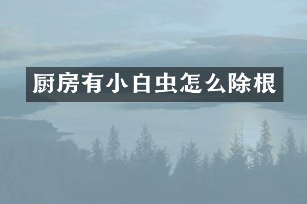 厨房有小白虫怎么除根