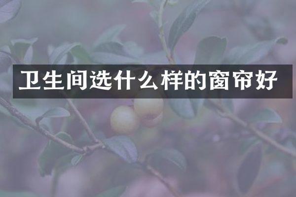 卫生间选什么样的窗帘好