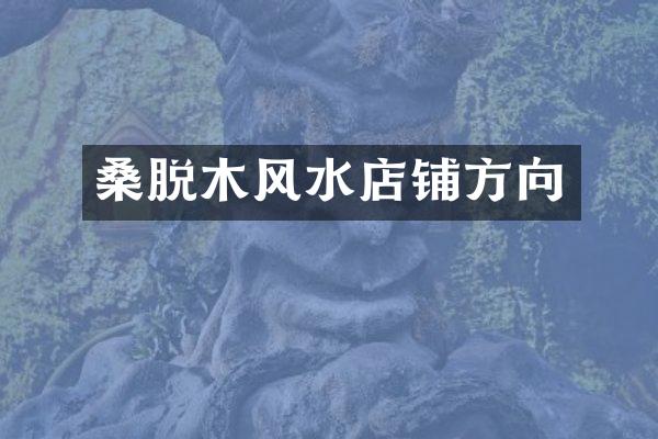 桑脱木风水店铺方向