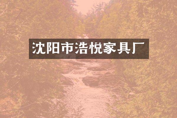 沈阳市浩悦家具厂