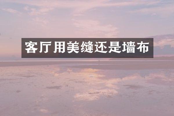 客厅用美缝还是墙布