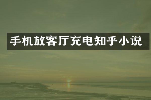 手机放客厅充电知乎小说