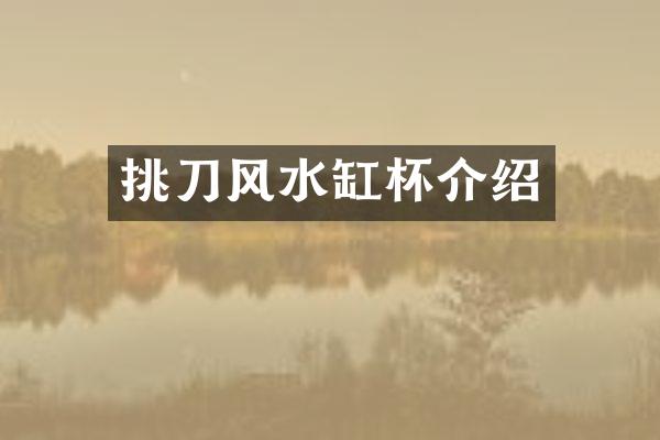 挑刀风水缸杯介绍