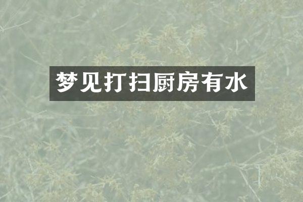 梦见打扫厨房有水