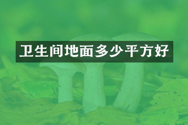 卫生间地面多少平方好