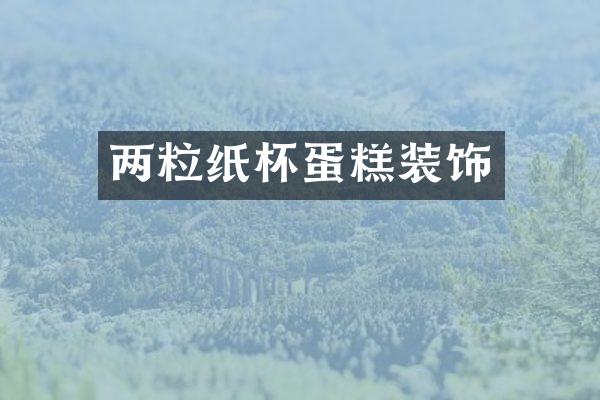 两粒纸杯蛋糕装饰