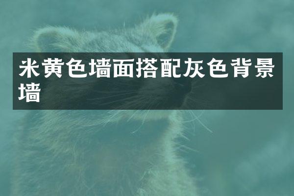 米黄色墙面搭配灰色背景墙