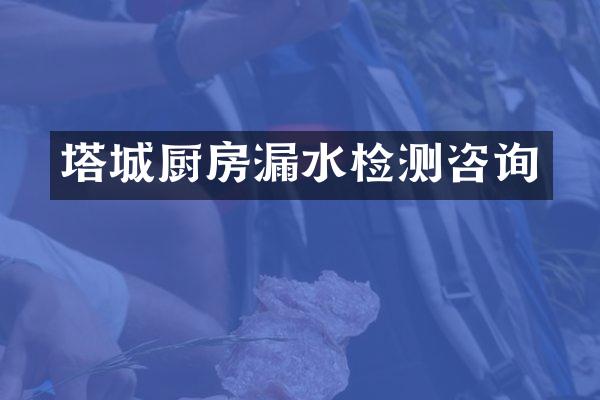 塔城厨房漏水检测咨询