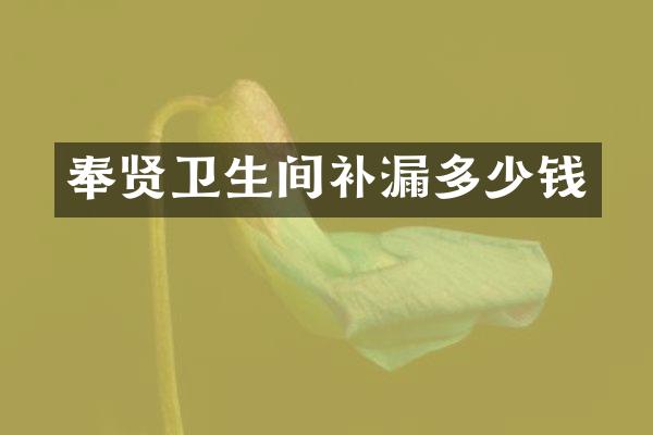 奉贤卫生间补漏多少钱