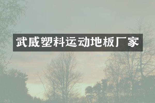 武威塑料运动地板厂家