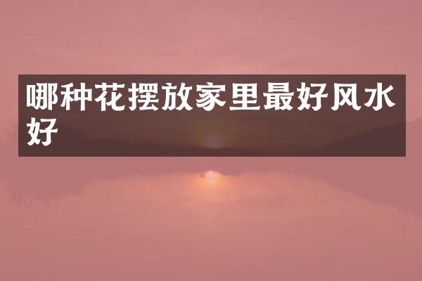 哪种花摆放家里最好风水好