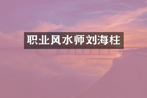 职业风水师刘海柱