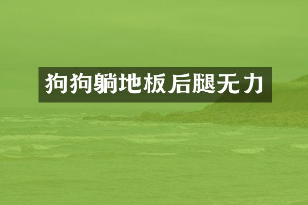 狗狗躺地板后腿无力