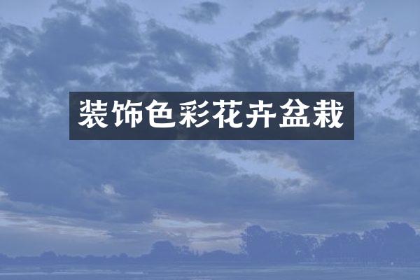 装饰色彩花卉盆栽