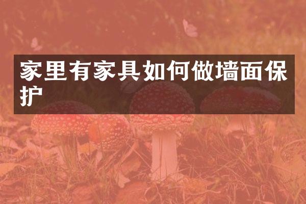 家里有家具如何做墙面保护