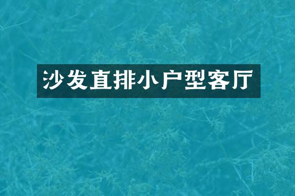 沙发直排小户型客厅