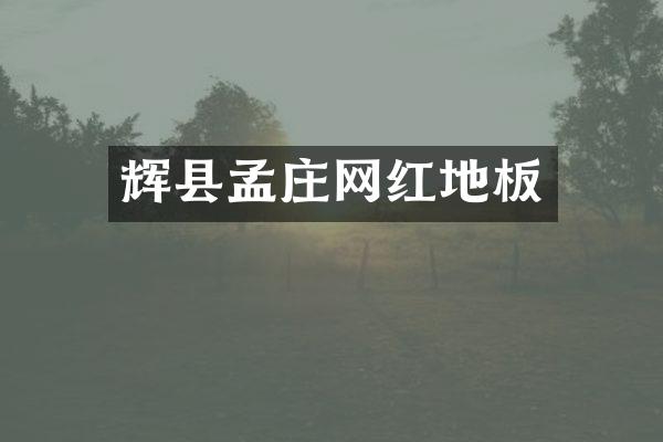 辉县孟庄网红地板