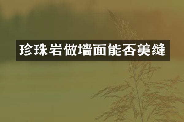 珍珠岩做墙面能否美缝