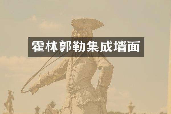 霍林郭勒集成墙面