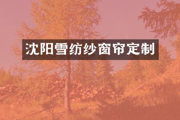 沈阳雪纺纱窗帘定制
