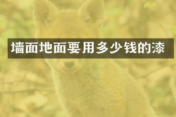 墙面地面要用多少钱的漆