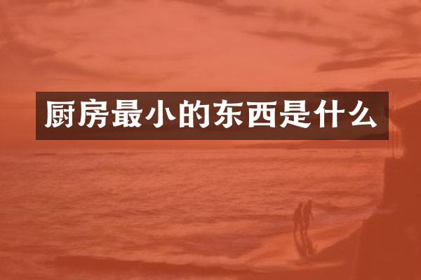 厨房最小的东西是什么