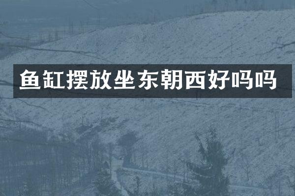 鱼缸摆放坐东朝西好吗吗
