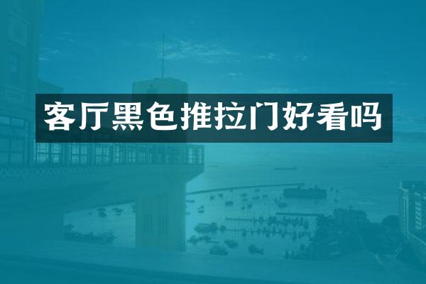 客厅黑色推拉门好看吗