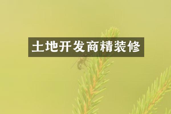土地开发商精装修
