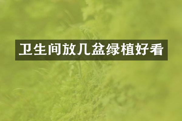 卫生间放几盆绿植好看