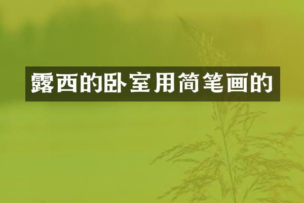 露西的卧室用简笔画的