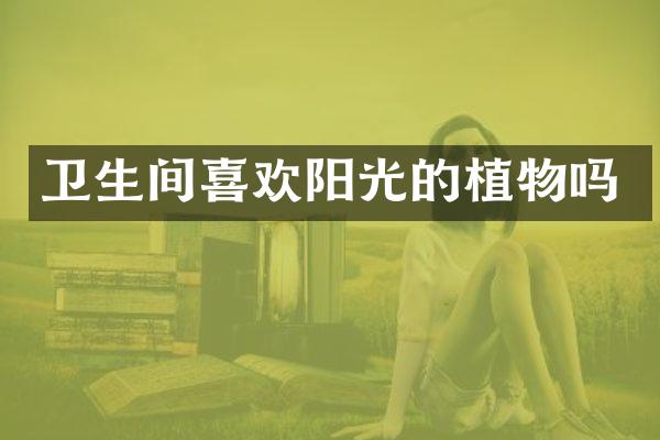 卫生间喜欢阳光的植物吗