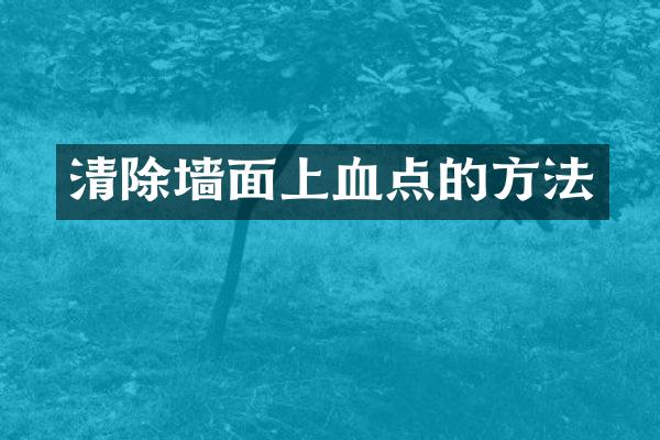 清除墙面上血点的方法
