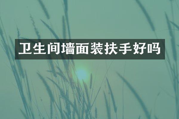 卫生间墙面装扶手好吗