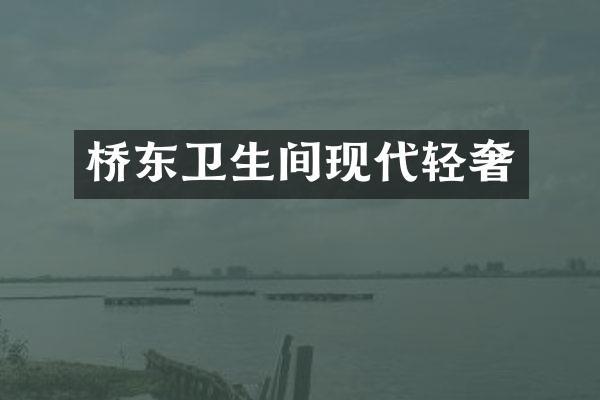 桥东卫生间现代轻奢