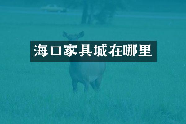 海口家具城在哪里