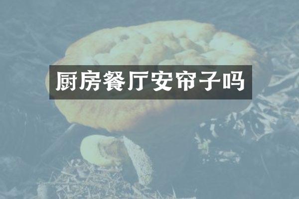 厨房餐厅安帘子吗