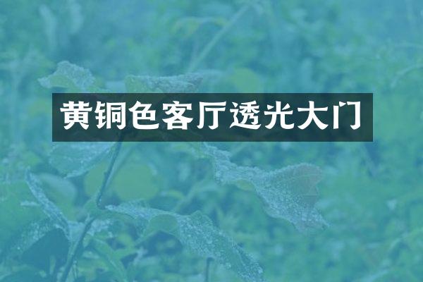 黄铜色客厅透光大门