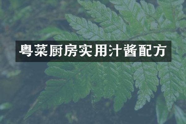 粤菜厨房实用汁酱配方