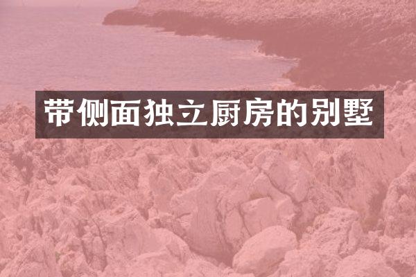 带侧面独立厨房的别墅