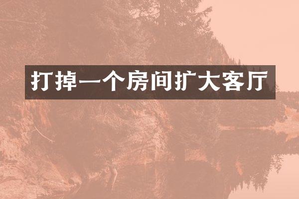 打掉一个房间扩大客厅