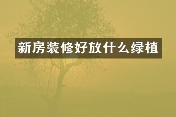 新房装修好放什么绿植