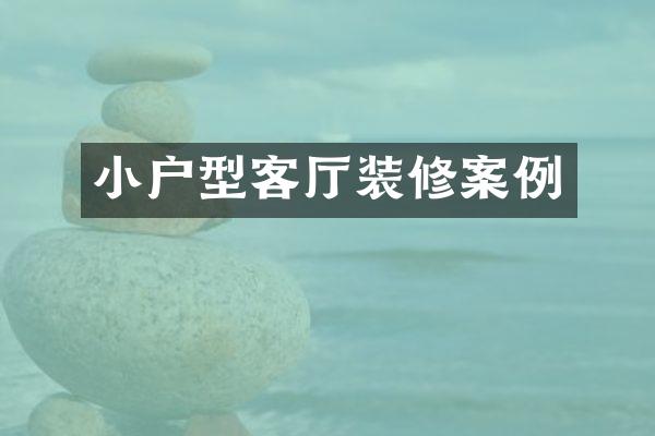 小户型客厅装修案例