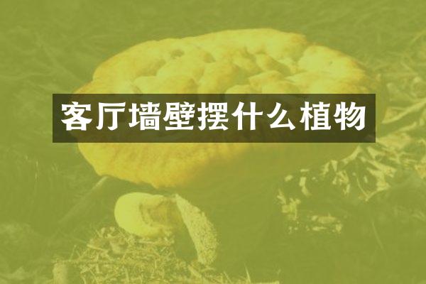 客厅墙壁摆什么植物