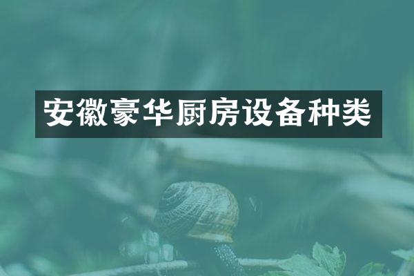 安徽豪华厨房设备种类