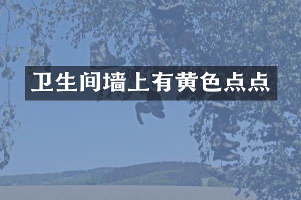卫生间墙上有黄色点点