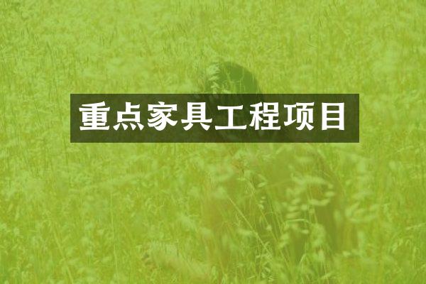 重点家具工程项目