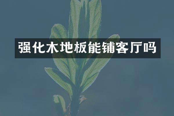强化木地板能铺客厅吗