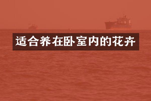 适合养在卧室内的花卉